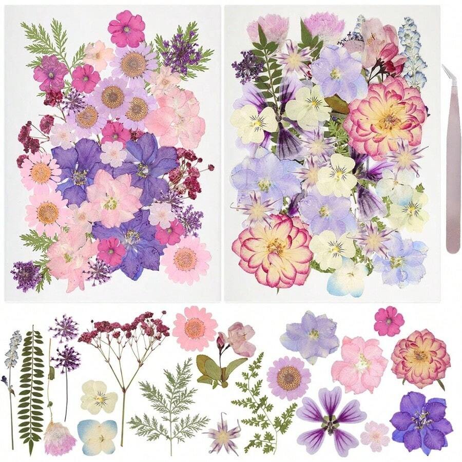 50Pcs Dried Pressed Flowers Resin Mould Real Pressed Flowers Natural Dry Leaves Bulk Mixed Colorful Daisy Herbs Kit With Tweezers Scrapbooking Candle Jewelry Crafts Making NailsPurple - 紫色 - 查看 1