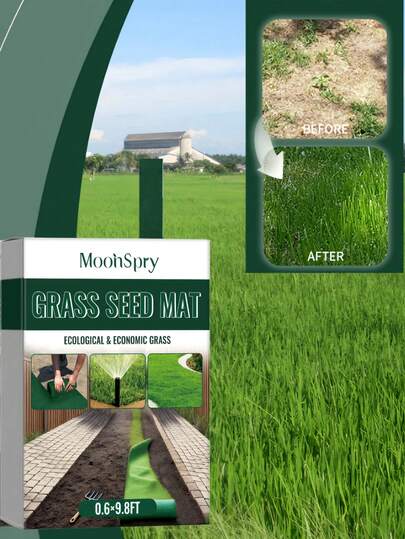 Alfombra verde, crecimiento de semillas verdes de plantas, optimización del paisaje de plantación, alfombra de césped de semillas, alfombra verde, crecimiento de semillas verdes de plantas, optimización del paisaje de plantación, alfombra de césped de semillas