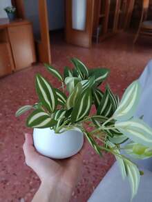 1pc Artificial Green Plant With Pot Fake Mini Plant Lifelike Indoor/Outdoor Decor For Home Garden Porch Farmhouse For Hanging Plants Window Boxes Wedding Table Office Birthday Party Gift Graduation Decor