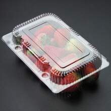 50Pcs Clear Square Hinged Plastic Food Containers, Disposable Containers With Clear Lids, Square Food Box Suitable For Desserts, Cakes, Cookies, Pasta, Sandwiches And Take-Out, Christmas Party Supplies - 白色 - 查看 7