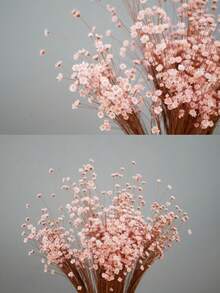 30/60/100/200支套装，天然干花，巴西迷你雏菊装饰干花，迷你雏菊洋甘菊花束，适用于婚礼花艺布置、家居装饰、情人节礼物 - 淺粉色 - 查看 2