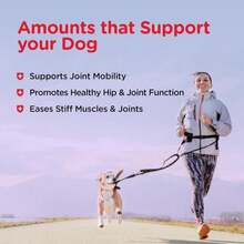 Nutri-Vet Hip And Joint Biscuits For Dogs, Large Breed Mobility Supplement, 300mg Glucosamine Per Dog Treat, Supports Cartilage Flexibility And Connective Tissue, Crunchy Peanut Butter Flavor, 4lb Bag