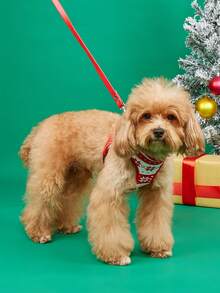 A Polyester Diamond Snowflake Pattern Christmas-Style Pet Cat And Dog Accessories Leash And Harness Set Suitable For Small Teddy Bear And  Bear Dogs During Outdoor Walks