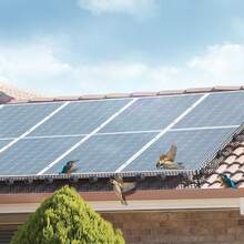 Protector de panel solar para pájaros de 6 pulgadas x 100 pies, kit de rollo de protección contra bichos con 100 sujetadores de acero inoxidable, protector de panel solar con revestimiento de PVC inoxidable, malla de rollo de alambre de 1/2 pulgada - 6 pulgadas x 100 pies - Ver 9