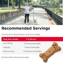 Nutri-Vet Hip And Joint Biscuits For Dogs, Large Breed Mobility Supplement, 300mg Glucosamine Per Dog Treat, Supports Cartilage Flexibility And Connective Tissue, Crunchy Peanut Butter Flavor, 4lb Bag