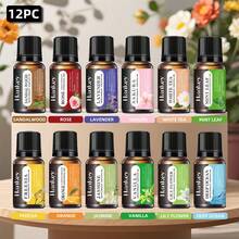 6pcs Aromatherapy Essential Oil Set Rose 1 Bottle Lavender 1 Bottle Vanilla 1 Bottle Sandalwood 1 Bottle Sakura 1 Bottle Jasmine 1 Bottle Aromatherapy Essential Oil Diffuser Aromatherapy Candle Aromatherapy Stove Diffuser Stone Humidifier Car Aromatherapy Home Aromatherapy Essential Oil Refill Gifts Birthday Graduation