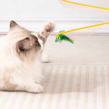 Cat Toys - Cat Tunnel, Teaser Wand, Self-Entertainment Toys, Small Mouse, Feather, Cat Ball, Kitten - Multicolor - View 4