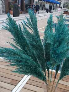 Peacock Blue Lu Chai