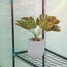 Portable Greenhouse 3 Tier 6 Shelve Walk-In Mini Green House For Planter Outdoor - Default - View 4