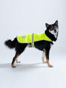 1件HUITAIYANG宠物反光安全背心，荧光黄色防护服，提高夜间能见度，适合夜间遛狗，适合多种犬猫品种