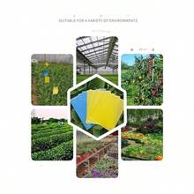 Double-Sided Sticky Insect Board Insect Trap Yellow Board Blue Board Greenhouse Tea Garden Orchard Greenhouse Gardening Sticky Insect Prevention - Yellow - View 10