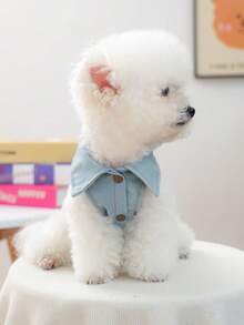 PETCIRCLE 1件宠物衣服，狗狗/猫咪套装，小型犬/幼犬时尚可爱舒适美国国旗外套 - 彩色 - 查看 5