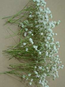 50pcs Natural Dried Flowers - Neutral Tones From Beige To Light Brown, Preserved Stems, Suitable For Wedding Decor, Flower Arranging, Resin Crafts, Home Decor - Durable Plant Material - Perfect For DIY Projects And Crafting, Rustic Multipurpose Craft Supply