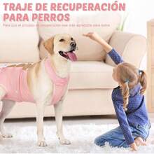 Traje de Recuperación para Perros - Transpirable, Elástico, Prevención de Lamidas y Arañazos, S-XL (Rosa, S) - Azul - Ver 8