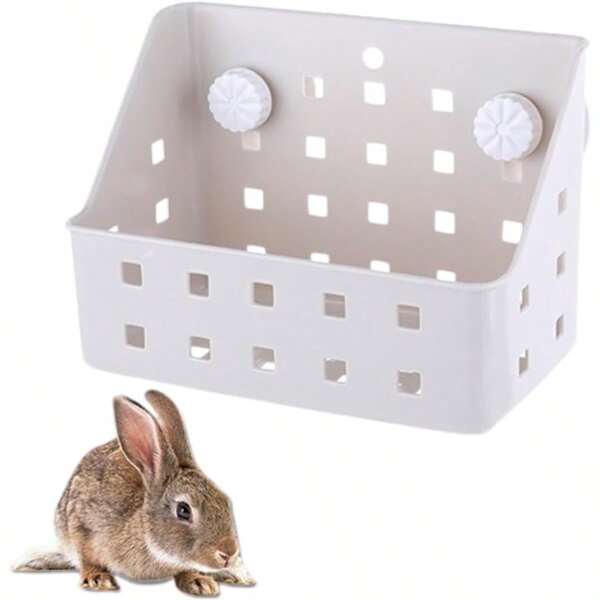 Bird Feeders & Animal Husbandry