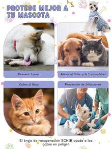 Traje de Recuperación para Perros,Transpirable y Elásticos, para Aliviar la Ansiedad, para Heridas Abdominales o Enfermedades de la Piel - Rosa Fresa - Ver 5