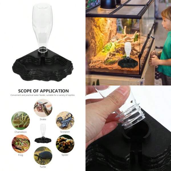 Bird Feeders & Animal Husbandry