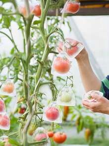 水果网袋，花园水果覆盖网袋