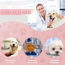 Traje de Recuperación para Perros - Transpirable, Elástico, Prevención de Lamidas y Arañazos, S-XL (Rosa, S) - Azul - Ver 6