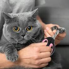 Multi-Color Stainless Steel Small Pet Nail Clippers - Ergonomic, And Easy Grooming Tool For Guinea Pigs, Dogs, Cats, Rabbits And Birds, With Protective Claw Ring - Multicolor - View 3