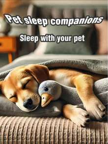 1 Stück weiches Plüsch Ente Stofftier, Weiß/Grau/Braun, Begleittier für Katzen und Hunde, hilft Hunden beim Spielen und Energieaufwand, geeignet für kleine bis mittlere Haustiere (nicht für große Haustiere empfohlen, da sie es zerkauen und beschädigen könnten)