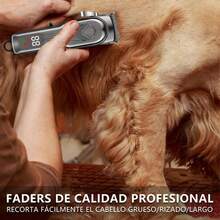12 en 1 Cortapelos Eléctrico para Perros y Gatos, Con Herramientas de Aseo, Rasuradora Recargable para Perro, Fácil de Recortar, Maquina para Cortar Para Todo Tipo de Pelo de Mascotas - Gris-negro - Ver 5