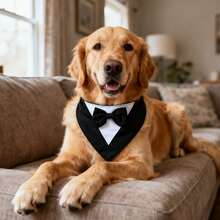 Dog Tuxedo, Formal Dog Wedding Bandana, Dog Collar With Bow Tie, Dog Birthday Costume, Adjustable Pet Party Tux Dog Wedding Attire, Dog Valentines Outfit Cosplay For Small Medium Large Pets - Black and White - View 10