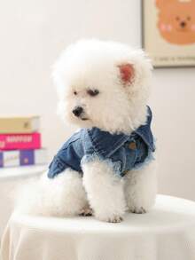PETCIRCLE 1件寵物衣服 小型犬幼犬可愛寵物破洞個性風項圈附牽繩扣環酷款外套 - 彩色 - 查看 4