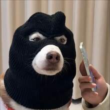 2-Color Funny Halloween Dog Bandit Mask, Suitable For Small To Medium Dogs, Creative Pet Costume, Breathable & Warm, Elastic Material, Adjustable Size, Easy To Clean, Makes Your Pet Cuter, Suitable For Pet Holidays And Daily Wear