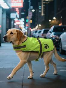 1件HUITAIYANG宠物反光安全背心，荧光黄色防护服，提高夜间能见度，适合夜间遛狗，适合多种犬猫品种