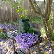 1pc 10 Gallon Fabric Raised Garden Bed Planter Bag, Durable Thick Vegetable Grow Bags For Strawberry, Potato, Tomato, Carrot With Window And Handle (7 Gallon And 10 Gallon Available) - Multicolor - View 7