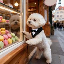 Dog Tuxedo, Formal Dog Wedding Bandana, Dog Collar With Bow Tie, Dog Birthday Costume, Adjustable Pet Party Tux Dog Wedding Attire, Dog Valentines Outfit Cosplay For Small Medium Large Pets - Black and White - View 7