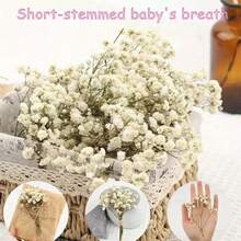 50pcs Natural Dried Flowers - Neutral Tones From Beige To Light Brown, Preserved Stems, Suitable For Wedding Decor, Flower Arranging, Resin Crafts, Home Decor - Durable Plant Material - Perfect For DIY Projects And Crafting, Rustic Multipurpose Craft Supply