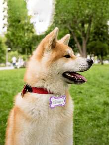 定制宠物吊坠，个性化猫狗幼犬宠物身份识别名字吊坠，项圈吊坠宠物配饰骨头闪光吊坠，宠物完美礼物装饰，时尚亮片，个性化礼物 - 彩色 - 查看 10