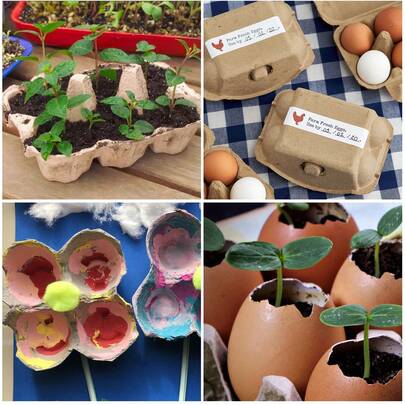 Conjunto de 6 suportes para caixas de ovos de polpa natural reutilizáveis, bandeja para ovos em branco, bandeja resistente para armazenamento de ovos adequada para geladeira