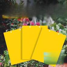 Double-Sided Sticky Insect Board Insect Trap Yellow Board Blue Board Greenhouse Tea Garden Orchard Greenhouse Gardening Sticky Insect Prevention - Yellow - View 2