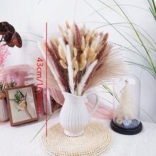 81pcs Artificial Dried Pampas Grass Bouquet, Bohemian Home Decor, Versatile Dried Flowers For Wedding, Baby Shower, Farmhouse Party, Christmas Table, Spring Wedding, Valentine's Day, Eid, May 5th, Father's Day, Mother's Day, Graduation, Tabletop Display, Autumn Season - Multicolor - View 4