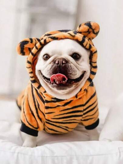 1 件秋冬宠物服装，趣味老虎服装，适合狗、猫、泰迪熊、贵宾犬、小型宠物