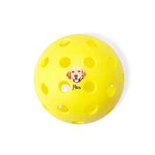 1/3/5 件个性化 40 孔匹克球，可定制您的姓名、照片和徽标，匹克球爱好者的生日运动礼物，自定义文本字体和字体颜色，适合户外匹克球运动，匹克球运动员和球迷的完美礼物