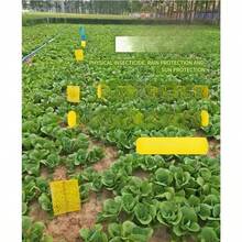 Double-Sided Sticky Insect Board Insect Trap Yellow Board Blue Board Greenhouse Tea Garden Orchard Greenhouse Gardening Sticky Insect Prevention - Yellow - View 7