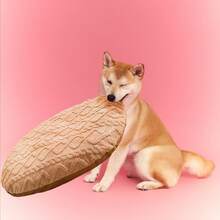 1 pieza Nuevo tapete para mascotas, tapete acolchado de felpa de coral con estampado para gatos y perros en otoño/invierno, cama para mascotas cálida y cómoda