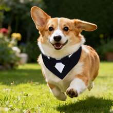 Dog Tuxedo, Formal Dog Wedding Bandana, Dog Collar With Bow Tie, Dog Birthday Costume, Adjustable Pet Party Tux Dog Wedding Attire, Dog Valentines Outfit Cosplay For Small Medium Large Pets - Black and White - View 6