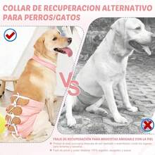 Traje de Recuperación para Perros - Transpirable, Elástico, Prevención de Lamidas y Arañazos, S-XL (Rosa, S) - Azul - Ver 5