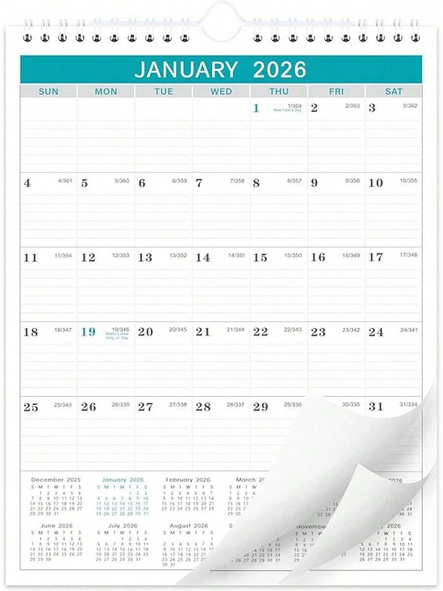 9 MONTHS AFTER JANUARY 15 2026 visual data 3
