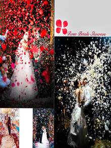 1000 piezas de pétalos de rosa artificiales, pétalos de flor de rosa de seda roja, adecuados para noche romántica, boda, propuesta, decoración floral de aniversario - Multicolor - Ver 10