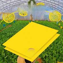 Double-Sided Sticky Insect Board Insect Trap Yellow Board Blue Board Greenhouse Tea Garden Orchard Greenhouse Gardening Sticky Insect Prevention - Yellow - View 4