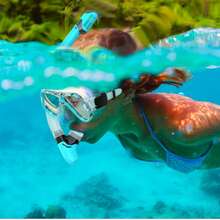 带排气阀的干式呼吸管 - 成人呼吸管装备，配有舒适的硅胶咬嘴和快速释放夹 - 水肺潜水、浮潜、自由潜水、鱼叉捕鱼、游泳