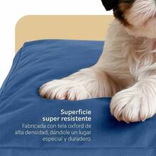 Cama Antiestrs de Foam para Perro y Gato, Colchoneta para Mascota Lavable Azul, Mediano - Chico + Azul - Ver 6