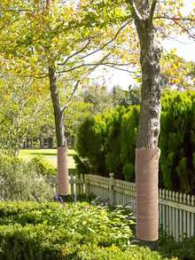 1 卷粗麻布卷黄麻布树套保护器冬季霜冻植物毯布屏障织物花园植物冬季户外树木灌木植物霜冻保护 - 彩色 - 查看 9