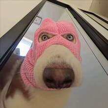 2-Color Funny Halloween Dog Bandit Mask, Suitable For Small To Medium Dogs, Creative Pet Costume, Breathable & Warm, Elastic Material, Adjustable Size, Easy To Clean, Makes Your Pet Cuter, Suitable For Pet Holidays And Daily Wear